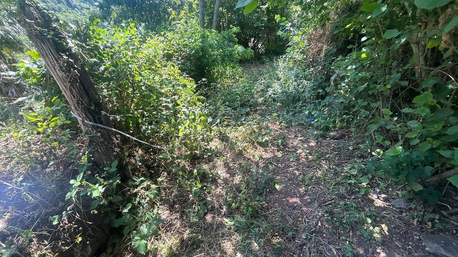 Grond te koop in Somiedo - € 70.000 (Ref: 8655218)