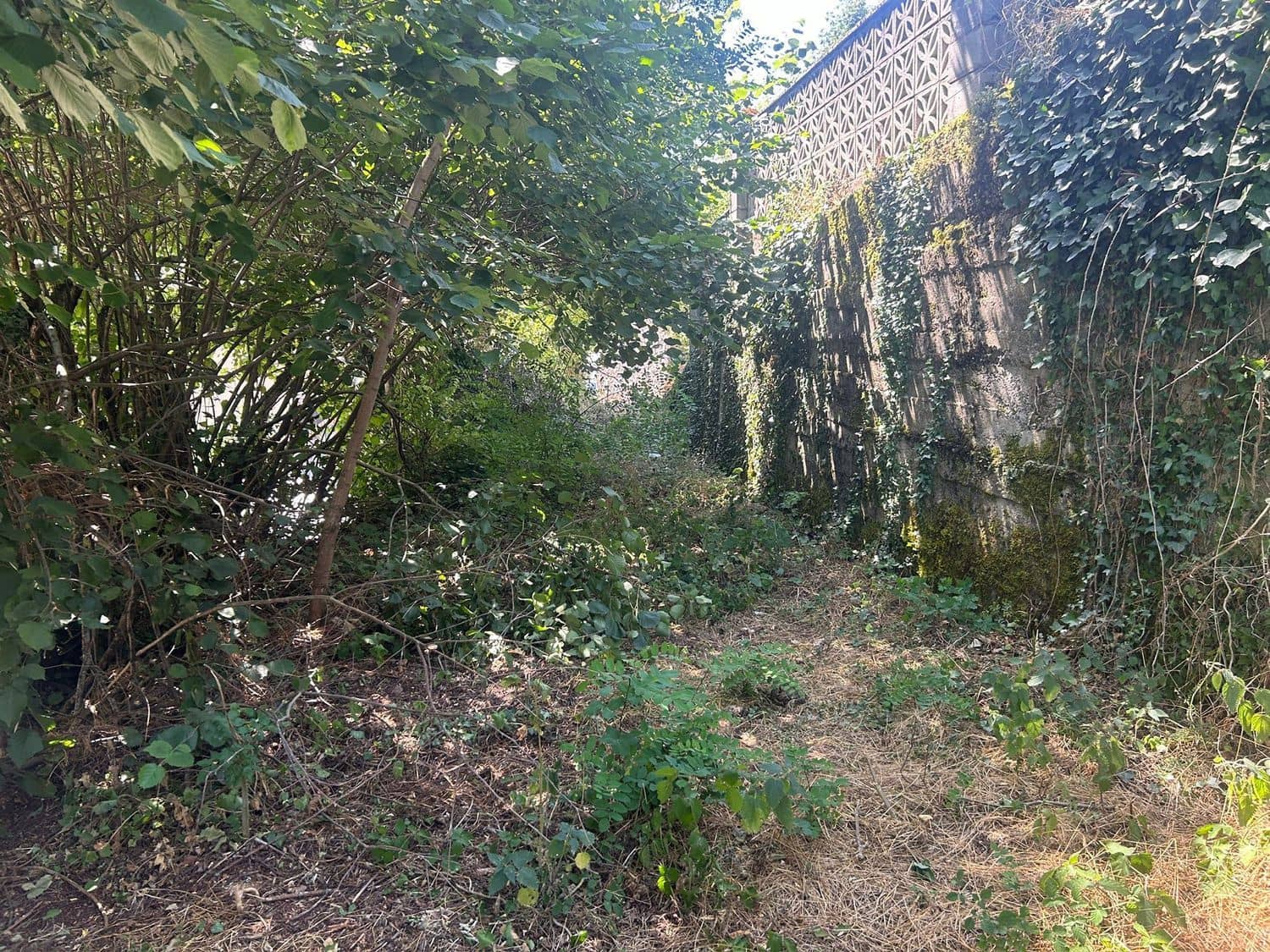 Grond te koop in Somiedo - € 70.000 (Ref: 8655218)