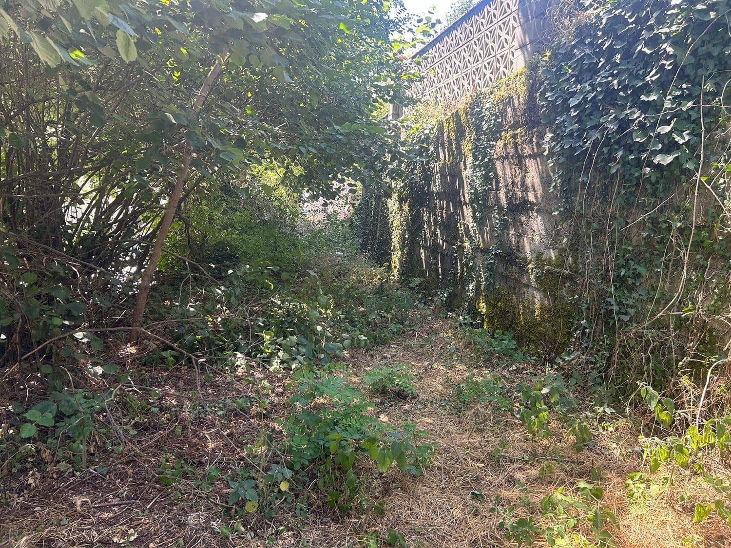 Grond te koop in Somiedo - € 70.000 (Ref: 8655218)