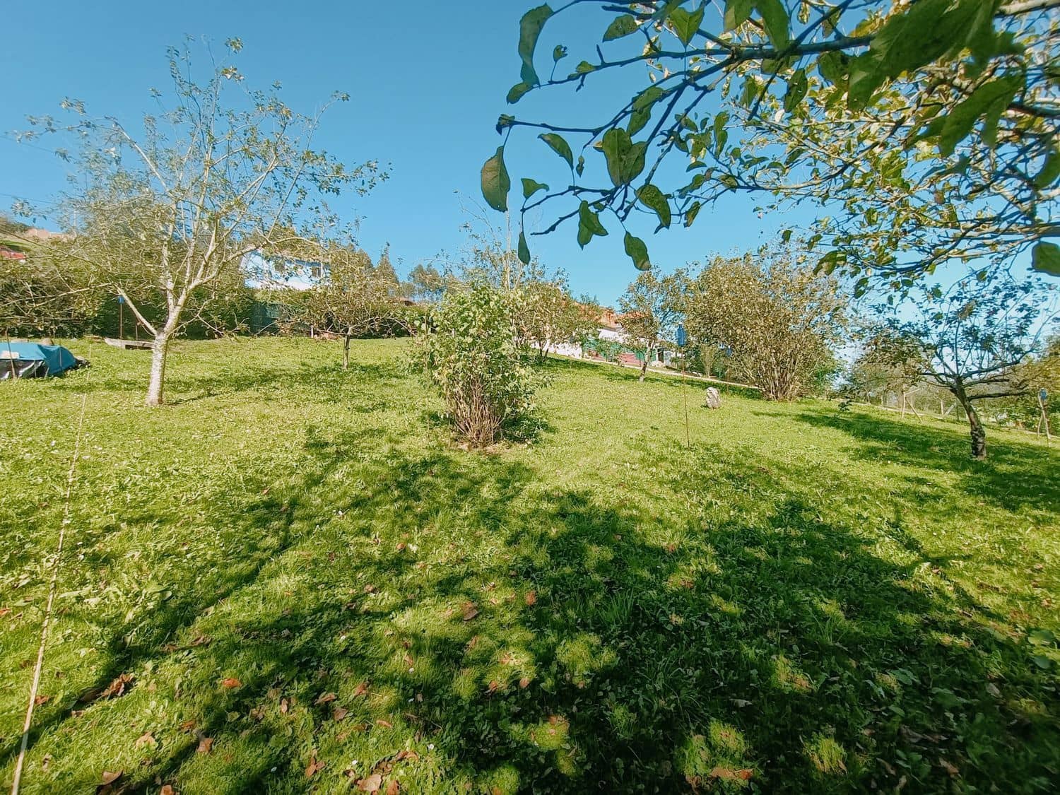 Grond te koop in Illas - € 34.000 (Ref: 8655227)