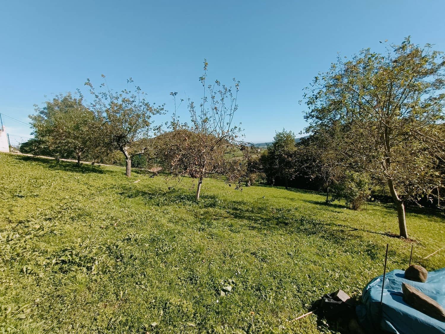 Grond te koop in Illas - € 34.000 (Ref: 8655227)