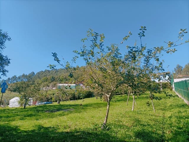 Undeveloped Land for sale in Illas - € 34,000 (Ref: 8655227)