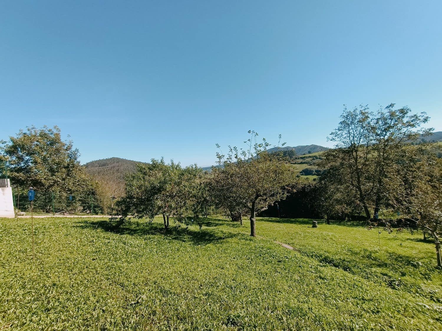 Grond te koop in Illas - € 34.000 (Ref: 8655227)