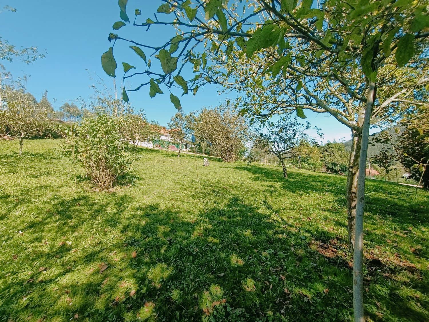 Grond te koop in Illas - € 34.000 (Ref: 8655227)