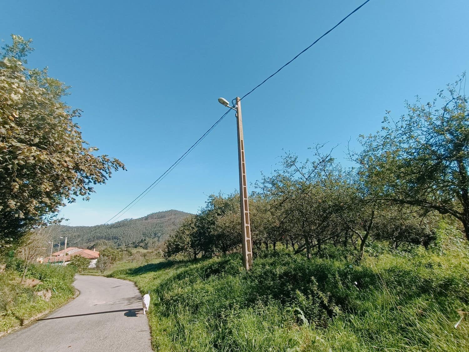 Grond te koop in Illas - € 34.000 (Ref: 8655227)