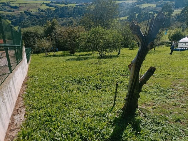 Undeveloped Land for sale in Illas - € 34,000 (Ref: 8655227)