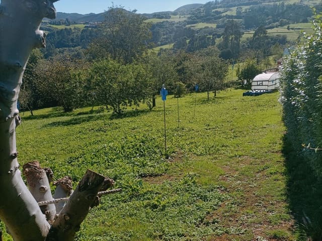 Undeveloped Land for sale in Illas - € 34,000 (Ref: 8655227)