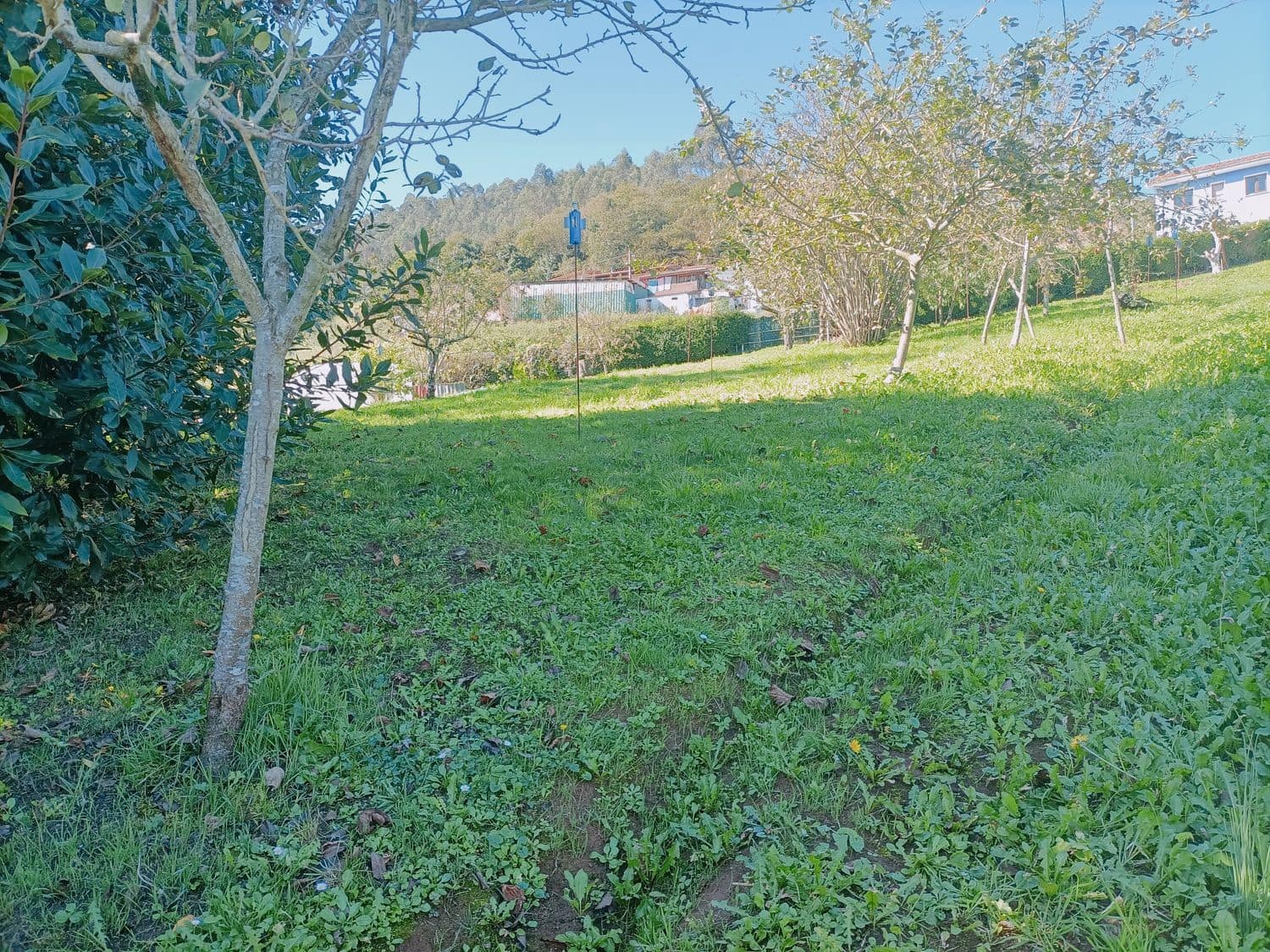 Grond te koop in Illas - € 34.000 (Ref: 8655227)