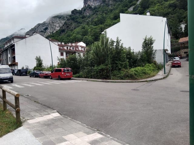 Undeveloped Land for sale in Pola de Somiedo, Somiedo - € 500,000 (Ref: 8655231)