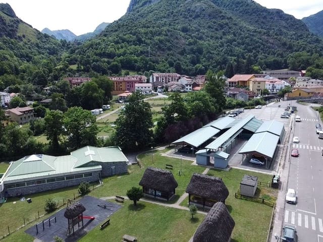 Undeveloped Land for sale in Pola de Somiedo, Somiedo - € 500,000 (Ref: 8655231)