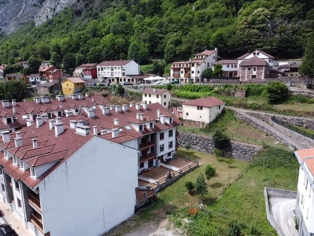 Undeveloped Land for sale in Pola de Somiedo, Somiedo - € 500,000 (Ref: 8655231)