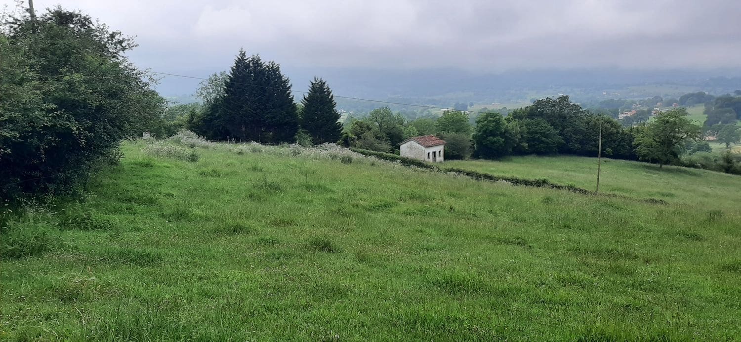 Ubebygd land til salgs i Nava - € 45 000 (Ref: 8655234)