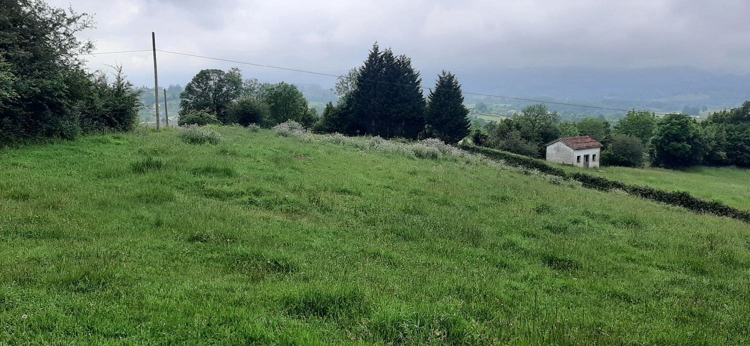 Ubebygd land til salgs i Nava - € 45 000 (Ref: 8655234)