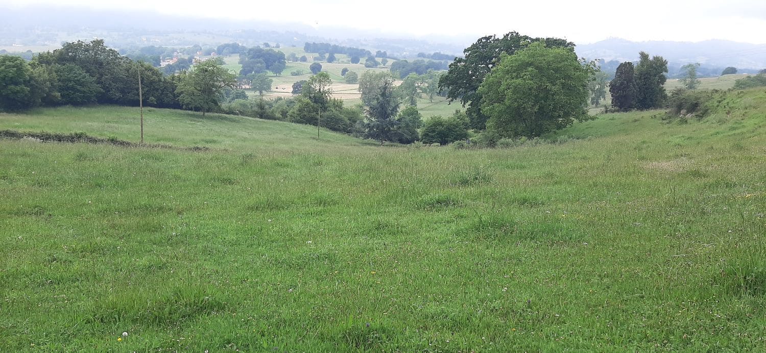 Ubebygd land til salgs i Nava - € 45 000 (Ref: 8655234)