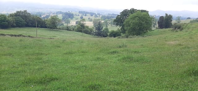 Undeveloped Land for sale in Cuenya, Nava - € 45,000 (Ref: 8655234)