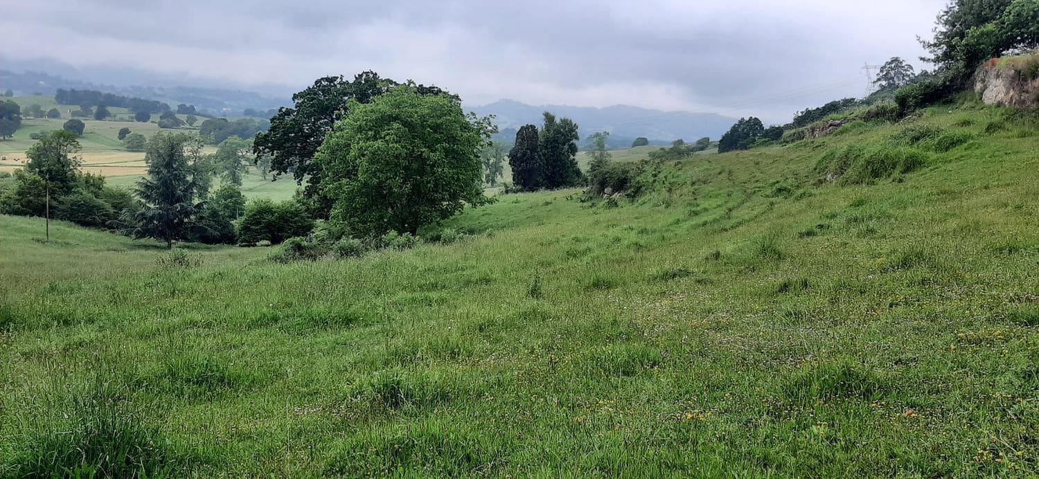 Ubebygd land til salgs i Nava - € 45 000 (Ref: 8655234)