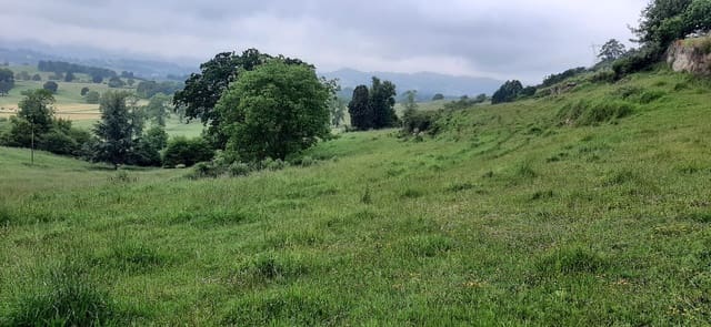 Undeveloped Land for sale in Cuenya, Nava - € 45,000 (Ref: 8655234)