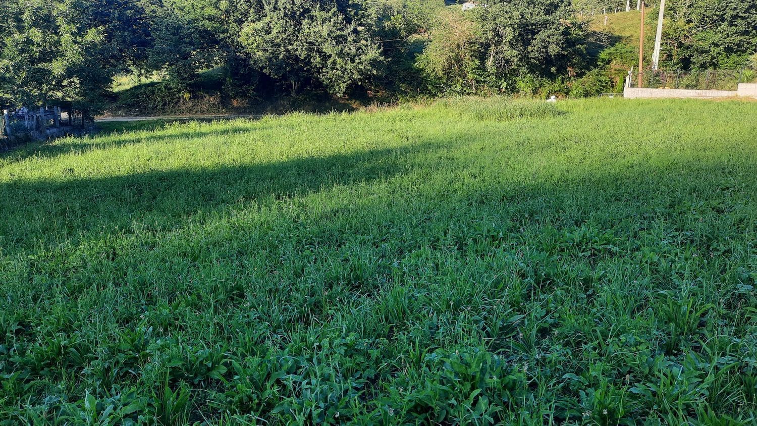 Grunde uden byggetilladelser til salg i Gijon - € 90.000 (Ref: 8655235)