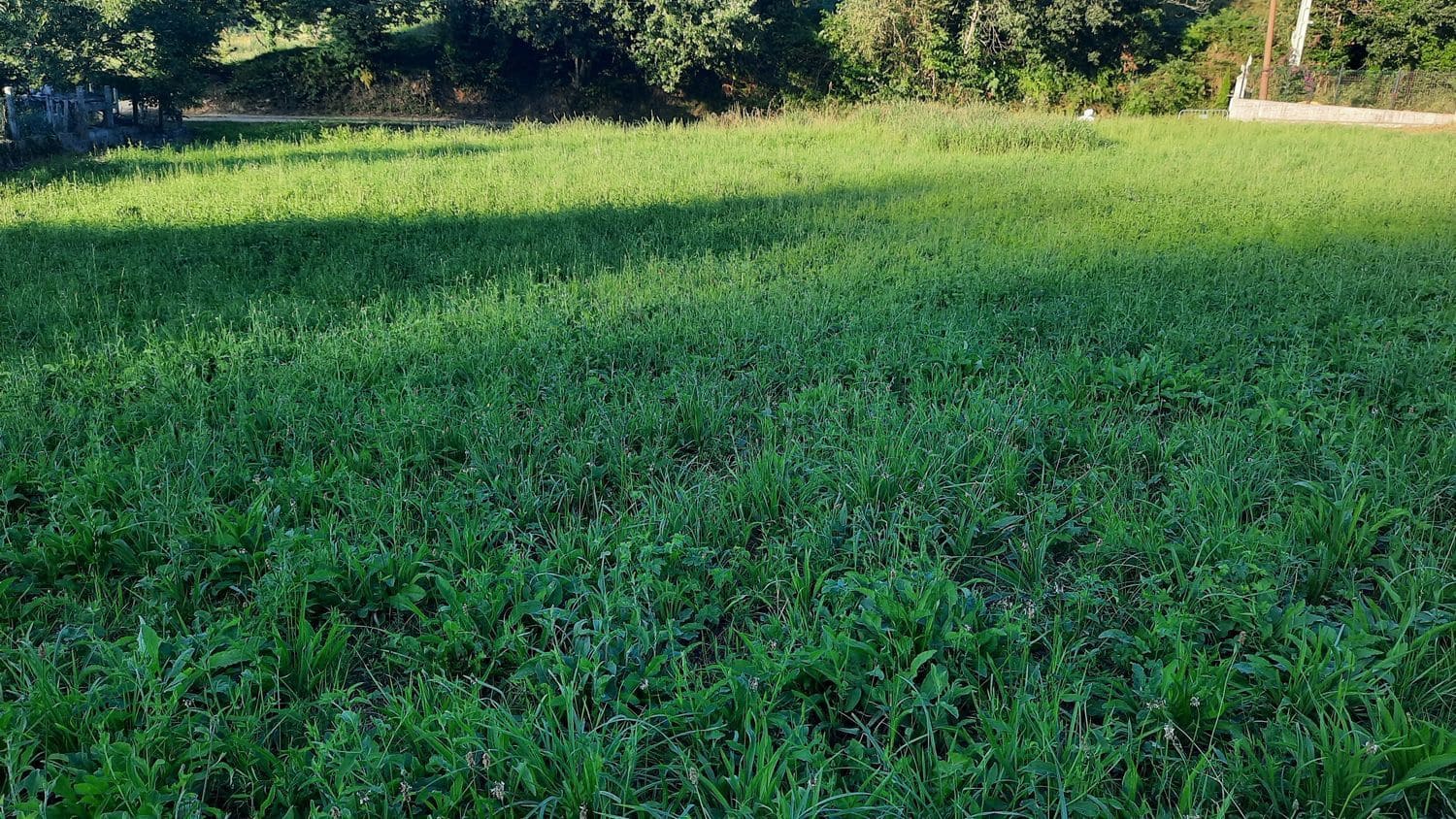 Grunde uden byggetilladelser til salg i Gijon - € 90.000 (Ref: 8655235)