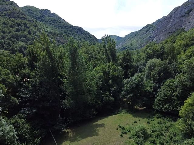 Undeveloped Land for sale in Pola de Somiedo, Somiedo - € 70,000 (Ref: 8655237)