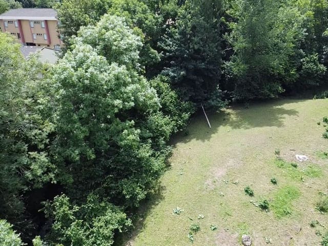 Undeveloped Land for sale in Pola de Somiedo, Somiedo - € 70,000 (Ref: 8655237)