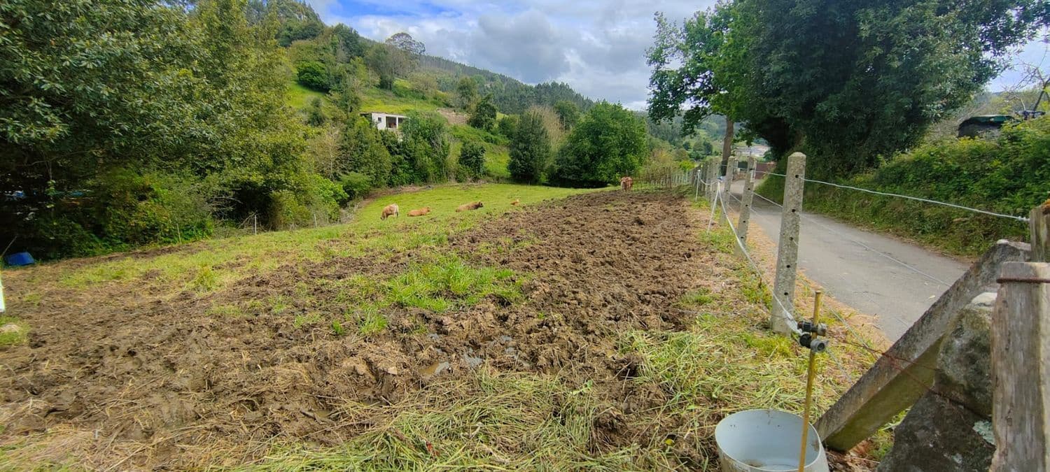 Grunde uden byggetilladelser til salg i Villaviciosa - € 75.000 (Ref: 8655238)