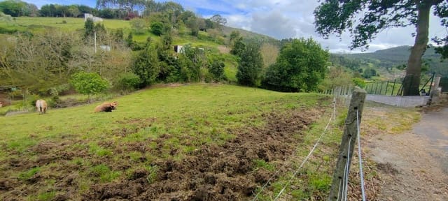 Undeveloped Land for sale in Villaviciosa - € 75,000 (Ref: 8655238)