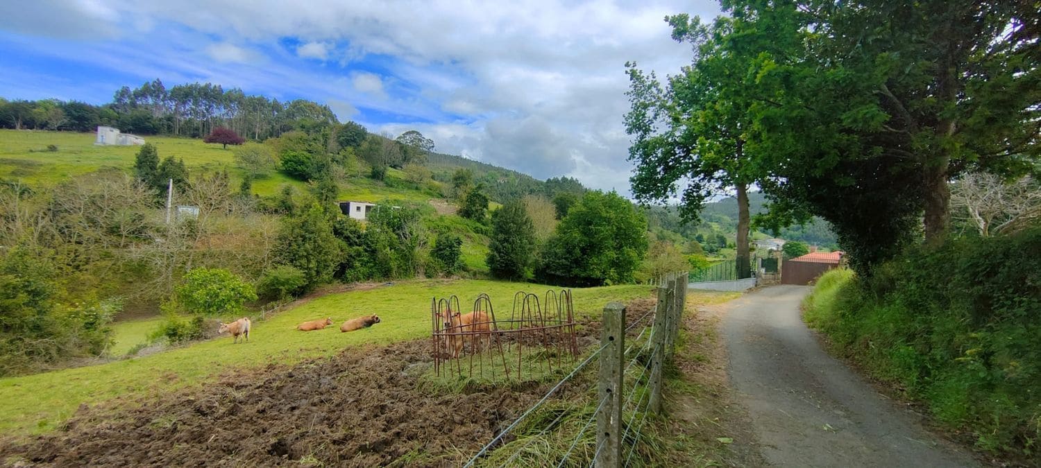 Grunde uden byggetilladelser til salg i Villaviciosa - € 75.000 (Ref: 8655238)