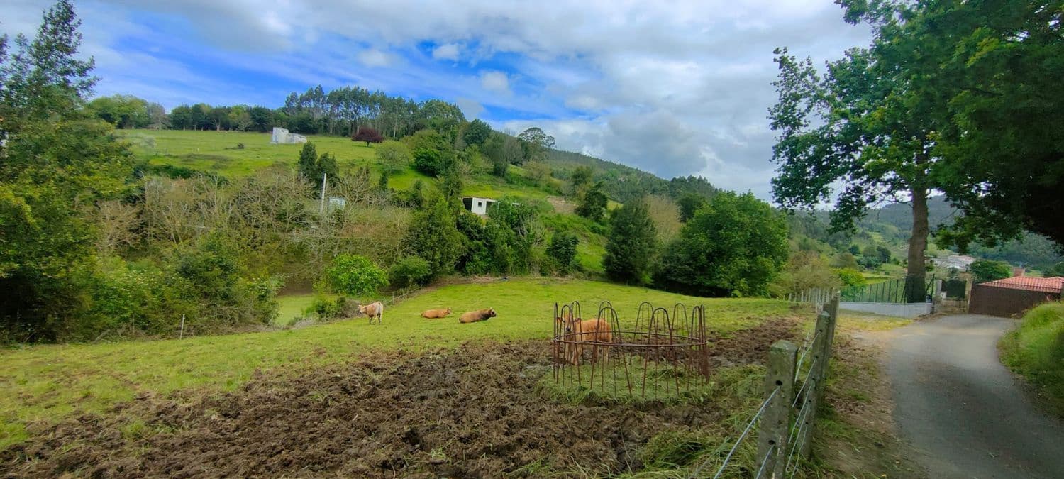 Grunde uden byggetilladelser til salg i Villaviciosa - € 75.000 (Ref: 8655238)