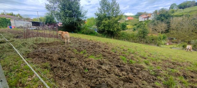 Undeveloped Land for sale in Villaviciosa - € 75,000 (Ref: 8655238)