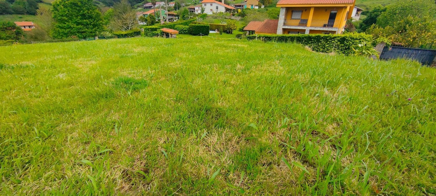 Grunde uden byggetilladelser til salg i Villaviciosa - € 70.000 (Ref: 8655241)