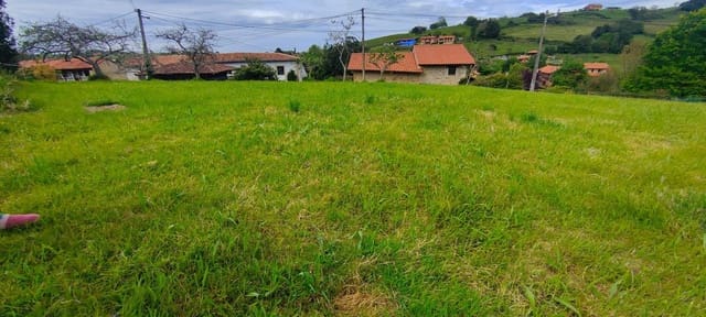 Undeveloped Land for sale in Villaviciosa - € 70,000 (Ref: 8655241)