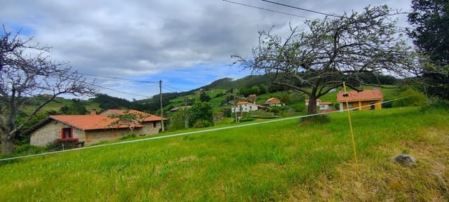 Undeveloped Land for sale in Villaviciosa - € 70,000 (Ref: 8655241)