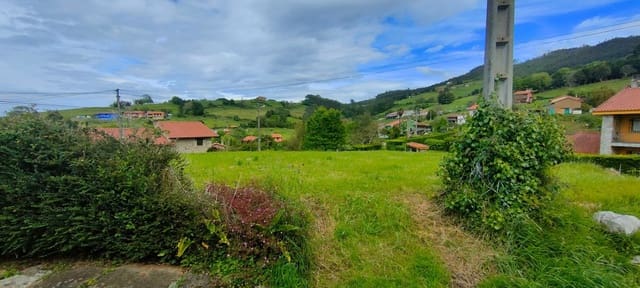 Undeveloped Land for sale in Villaviciosa - € 70,000 (Ref: 8655241)