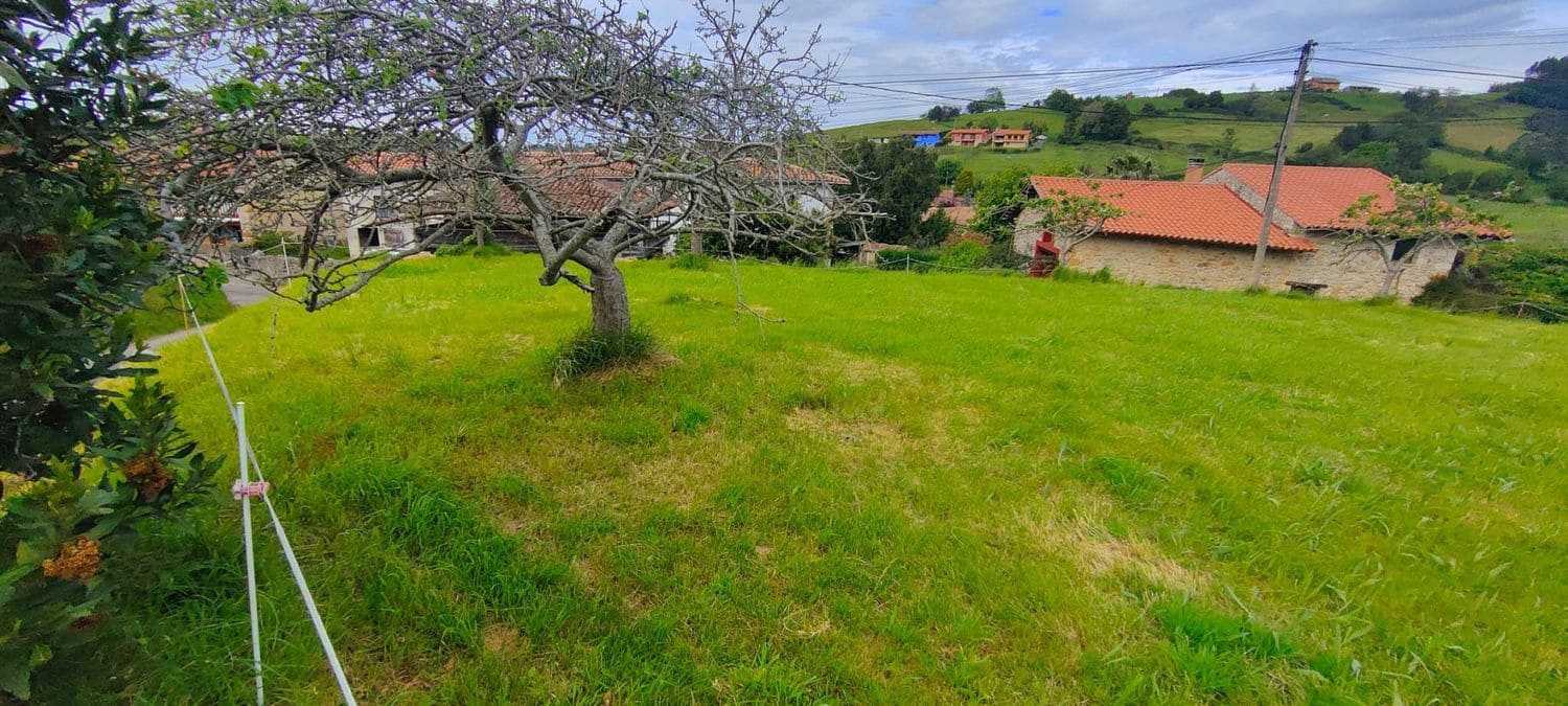 Grunde uden byggetilladelser til salg i Villaviciosa - € 70.000 (Ref: 8655241)