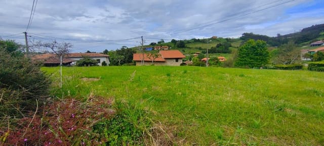 Undeveloped Land for sale in Villaviciosa - € 70,000 (Ref: 8655241)