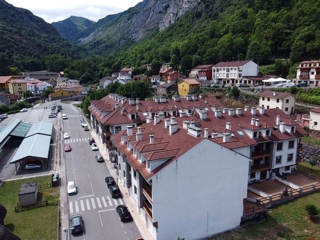 Undeveloped Land for sale in Pola de Somiedo, Somiedo - € 450,000 (Ref: 8655242)