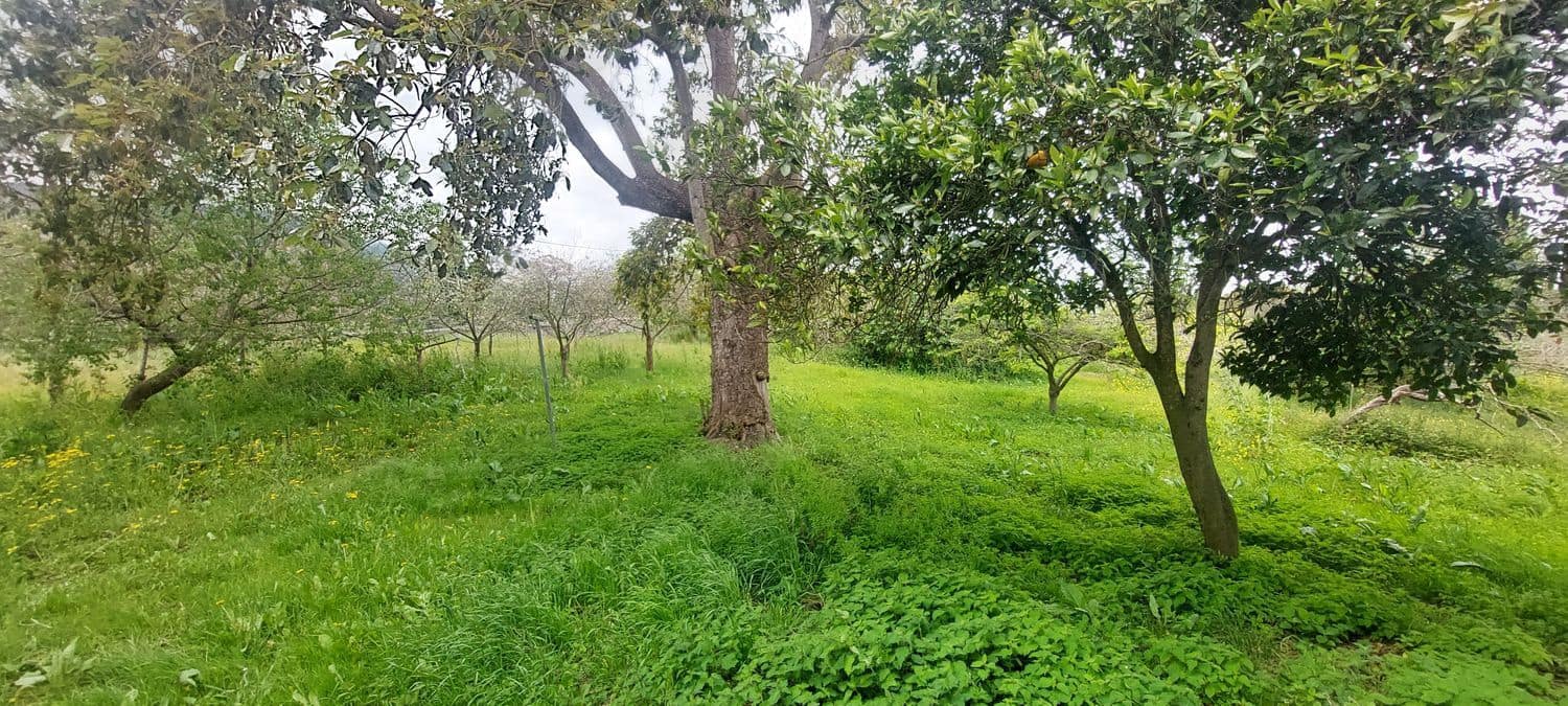 6 soveværelse Finca/Landehus til salg i Colunga med garage - € 2.500.000 (Ref: 8655258)