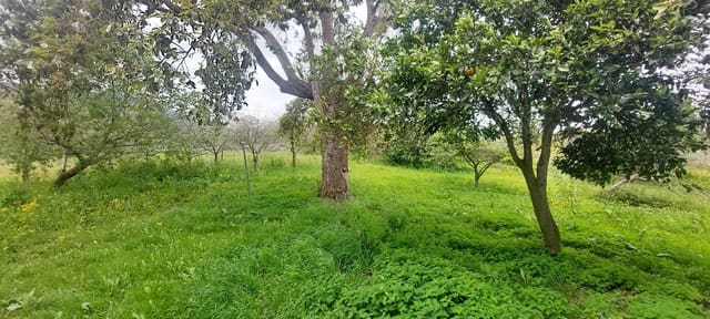 6 bedroom Finca/Country House for sale in Colunga with garage - € 2,500,000 (Ref: 8655258)