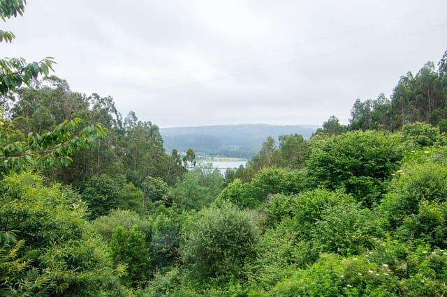 1 camera da letto Ristorante/Bar in vendita in Muros de Nalón - 225.000 € (Rif: 8655259)