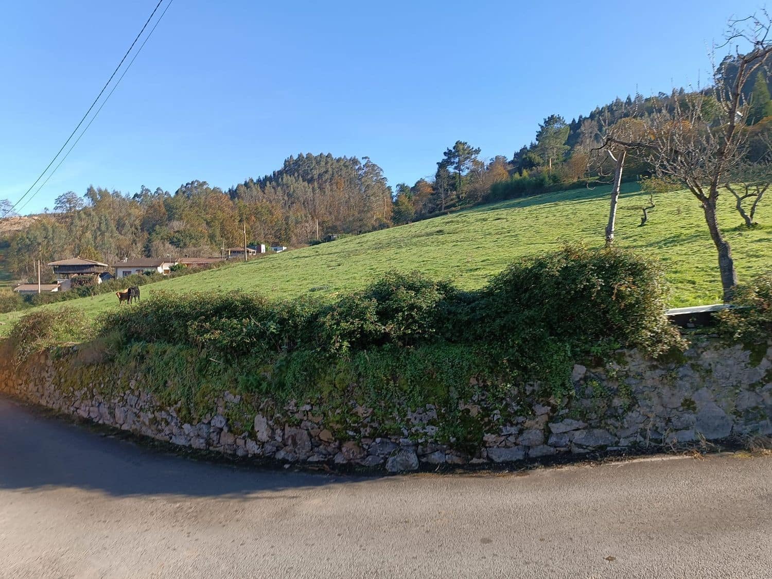 Undeveloped Land for sale in Soto del Barco - € 350,000 (Ref: 8697731)