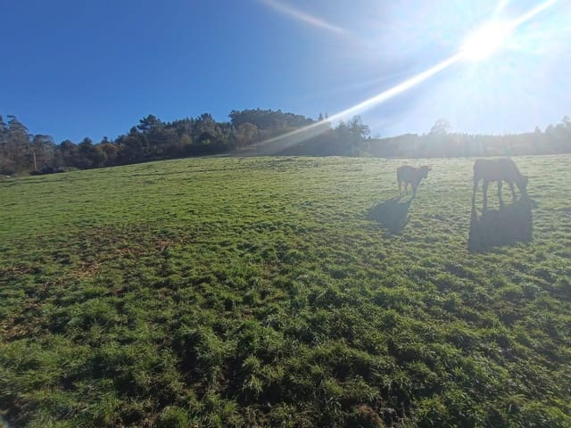 Undeveloped Land for sale in Soto del Barco - € 350,000 (Ref: 8697731)