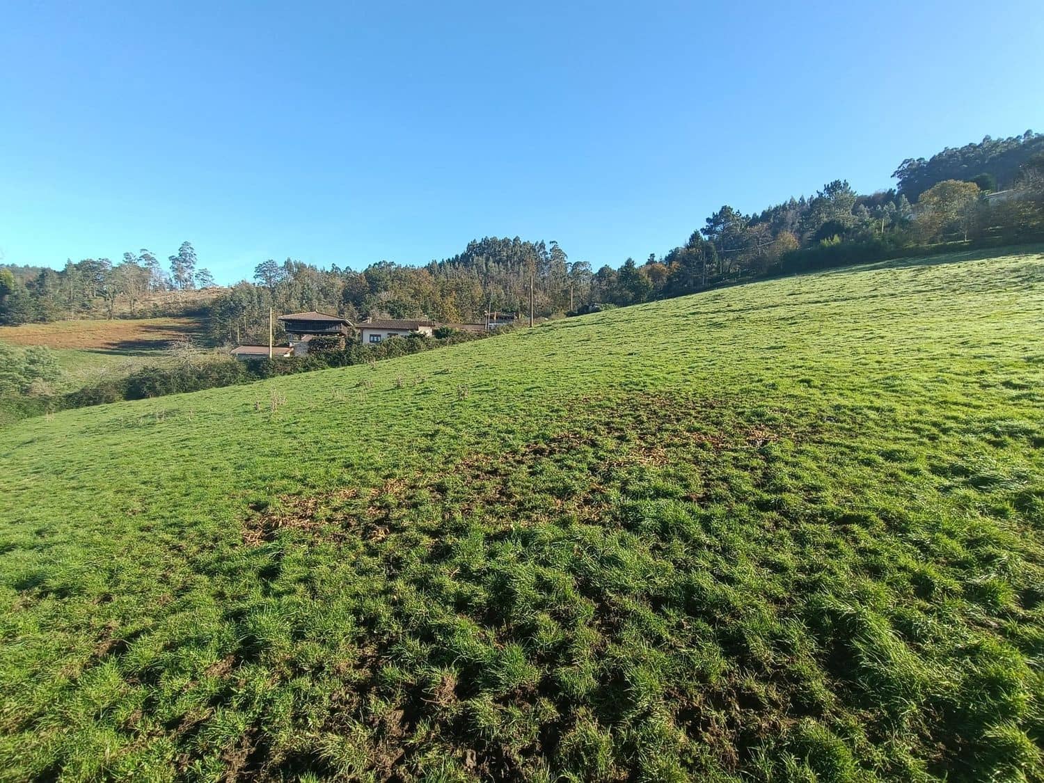 Undeveloped Land for sale in Soto del Barco - € 350,000 (Ref: 8697731)