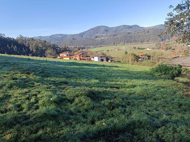 Undeveloped Land for sale in Soto del Barco - € 350,000 (Ref: 8697731)