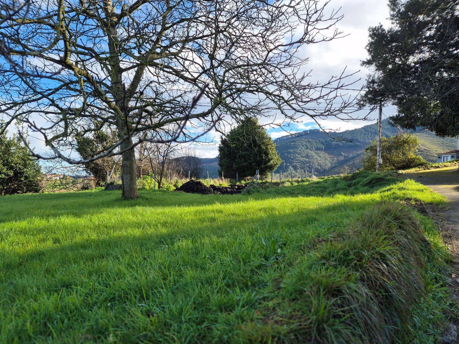 Mark till salu i Cudillero - 55 000 € (Ref: 8792178)