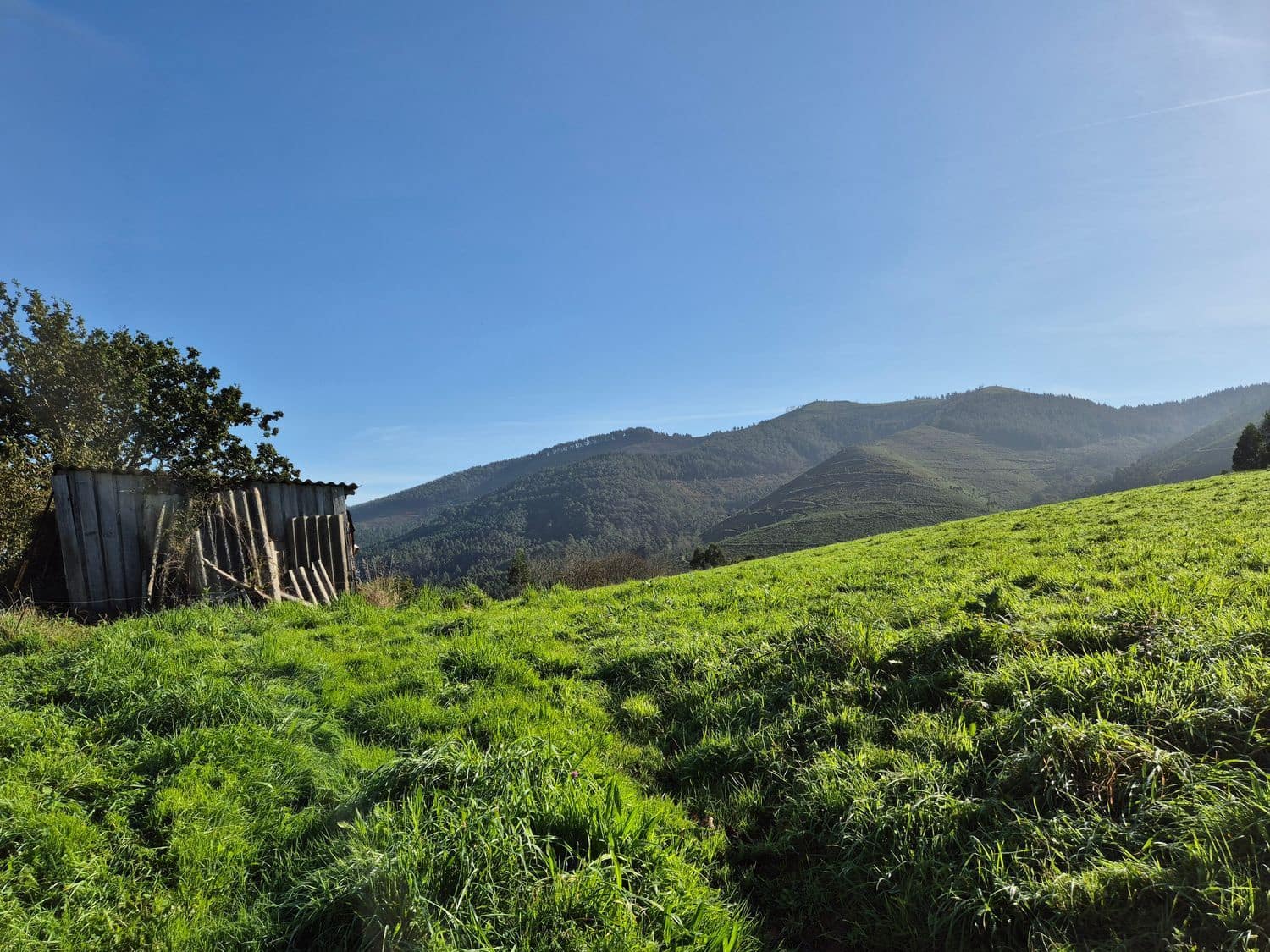 Mark till salu i Cudillero - 55 000 € (Ref: 8792178)