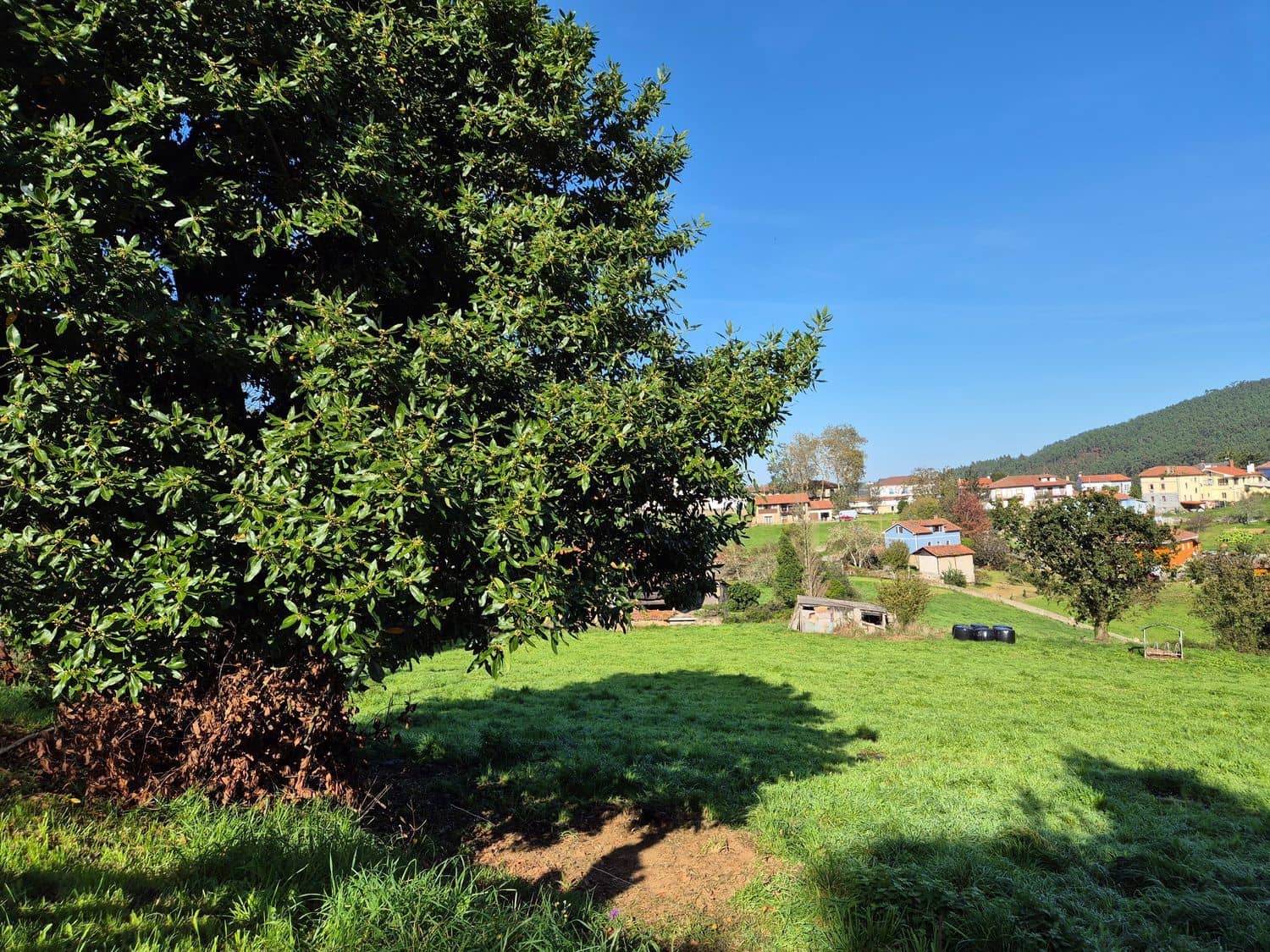 Mark till salu i Cudillero - 55 000 € (Ref: 8792178)