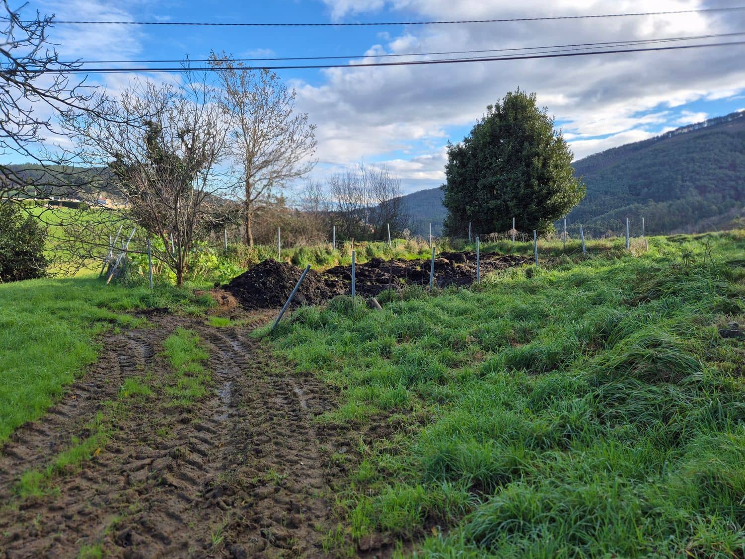 Mark till salu i Cudillero - 55 000 € (Ref: 8792178)