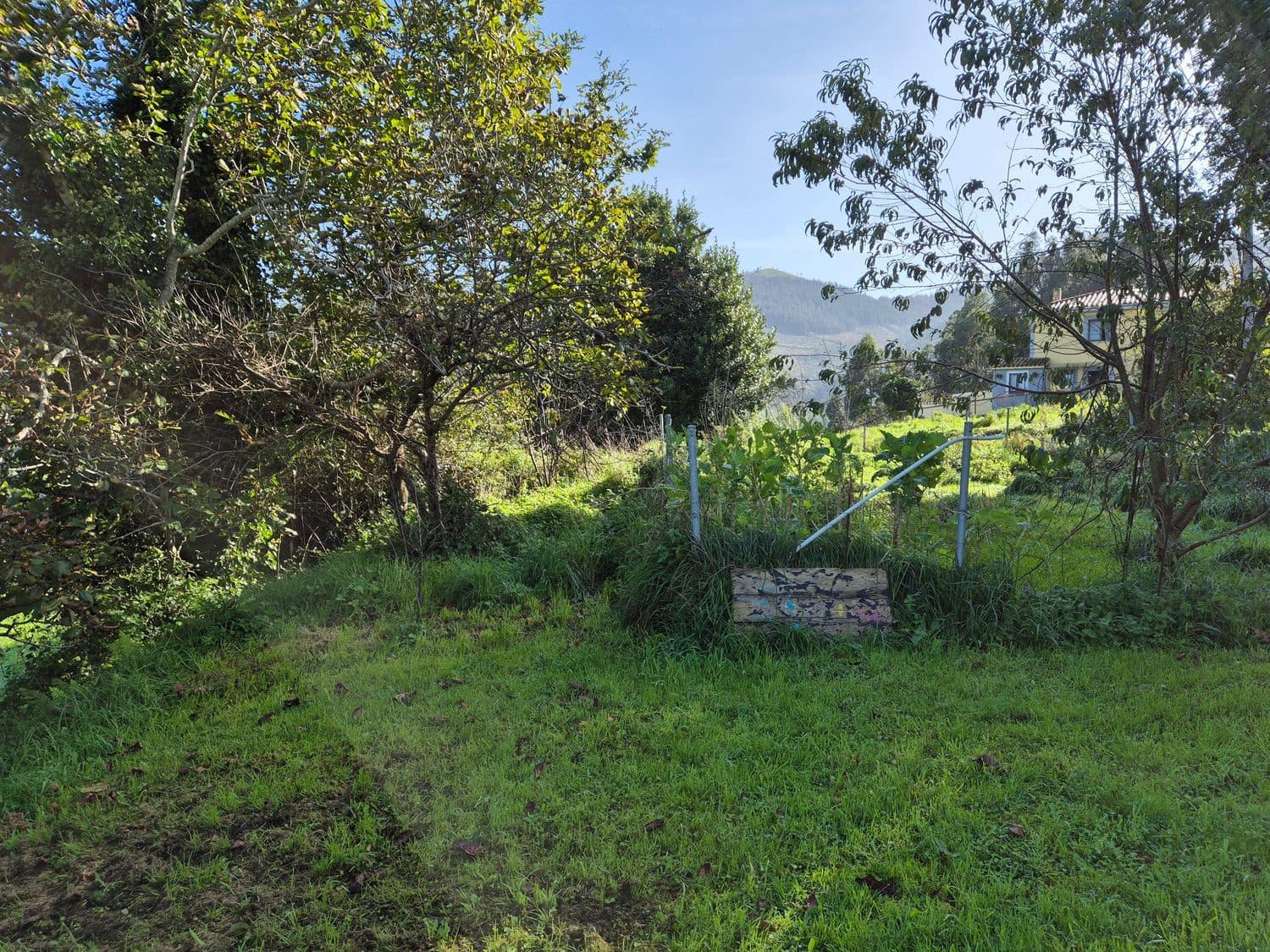 Mark till salu i Cudillero - 55 000 € (Ref: 8792178)