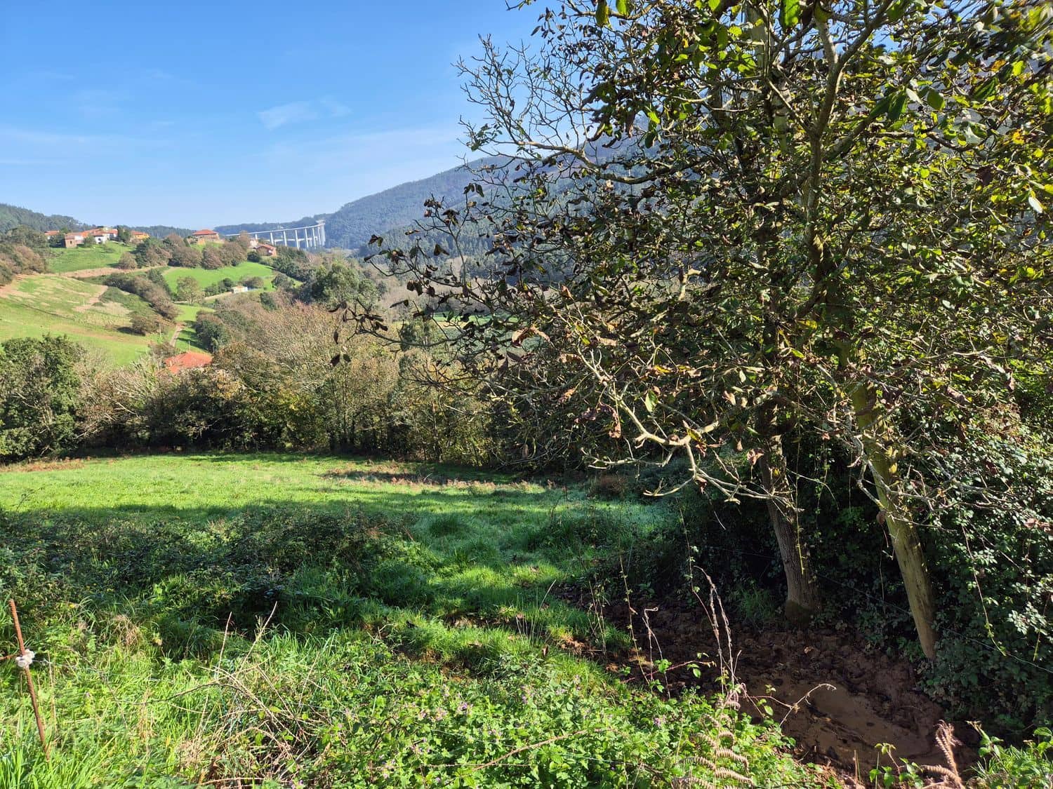 Mark till salu i Cudillero - 55 000 € (Ref: 8792178)